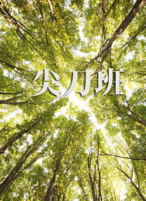 日日骚av